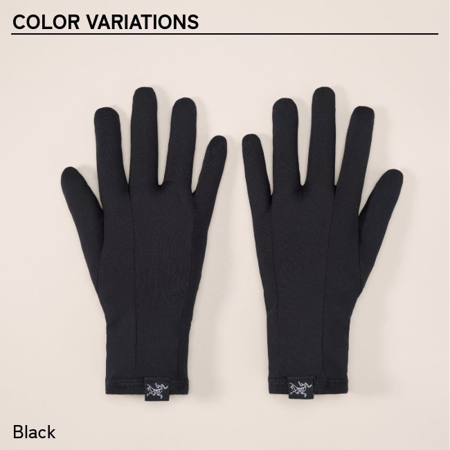 アークテリクス　タクティシャン グローブ サイズS アークテリクス ARC'TERYX ロー グローブ ユニセックス Rho Glove