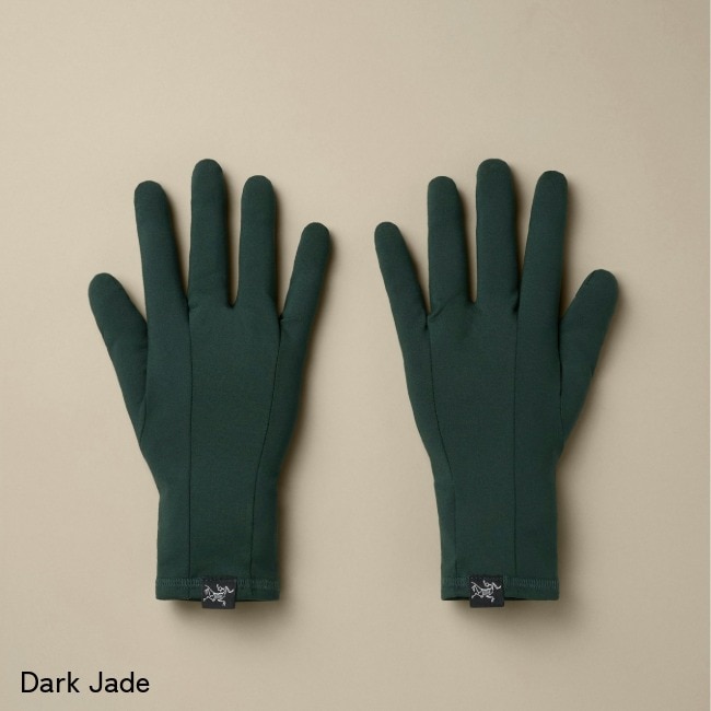 アークテリクス ARC'TERYX ロー グローブ ユニセックス Rho Glove