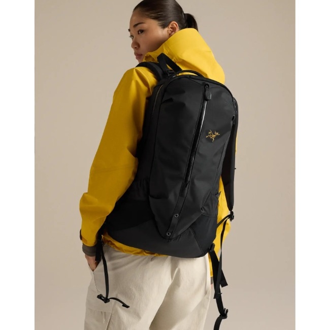 アークテリクス ARC'TERYX アロー 22 バックパック Arro 22 Backpack