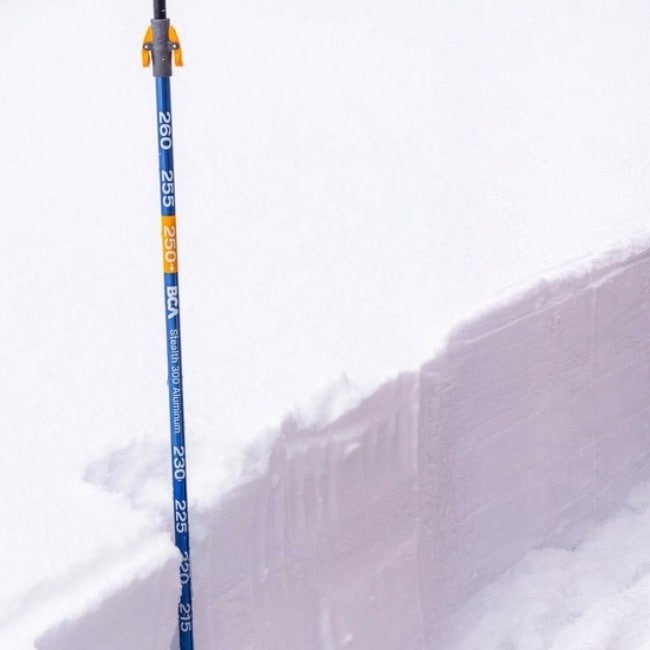 バックカントリーアクセス Back Country Access ステルス 300