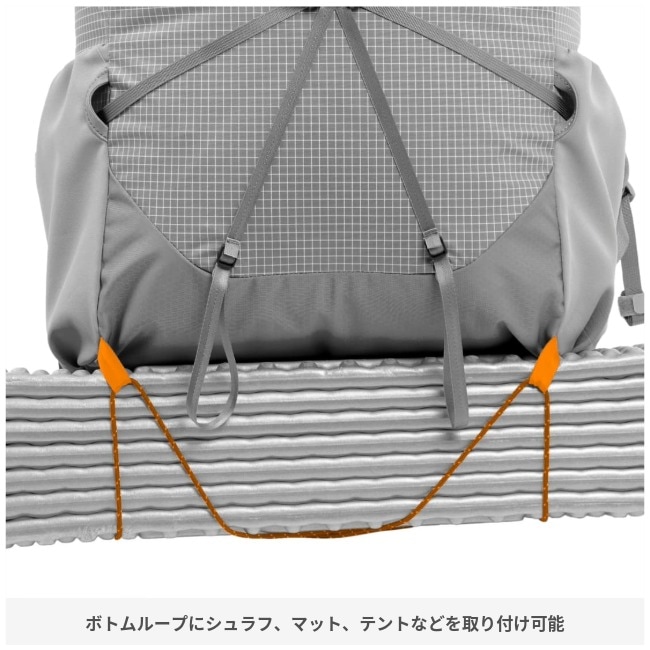 ライト　ブルドッグ exd259051_8.jpg