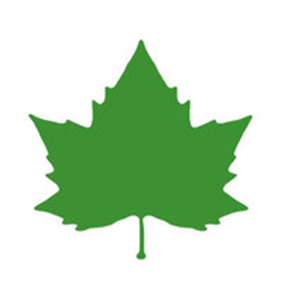 GREEN MAPLE LOGO