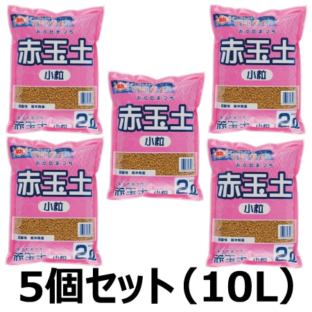 �ֶ��ھ�γ 5L��5�ޥ��å�