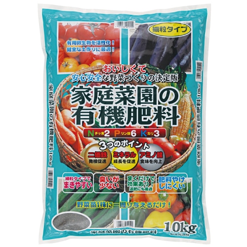 �����ڱ��ͭ������ 10��