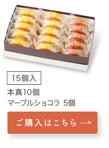 大阪マドレイヌ 本真 5個入 | 焼菓子・ギフト,大阪マドレイヌ本真