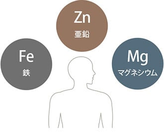 美容と健康につながる鉄、亜鉛、マグネシウムなど必須ミネラルも豊富