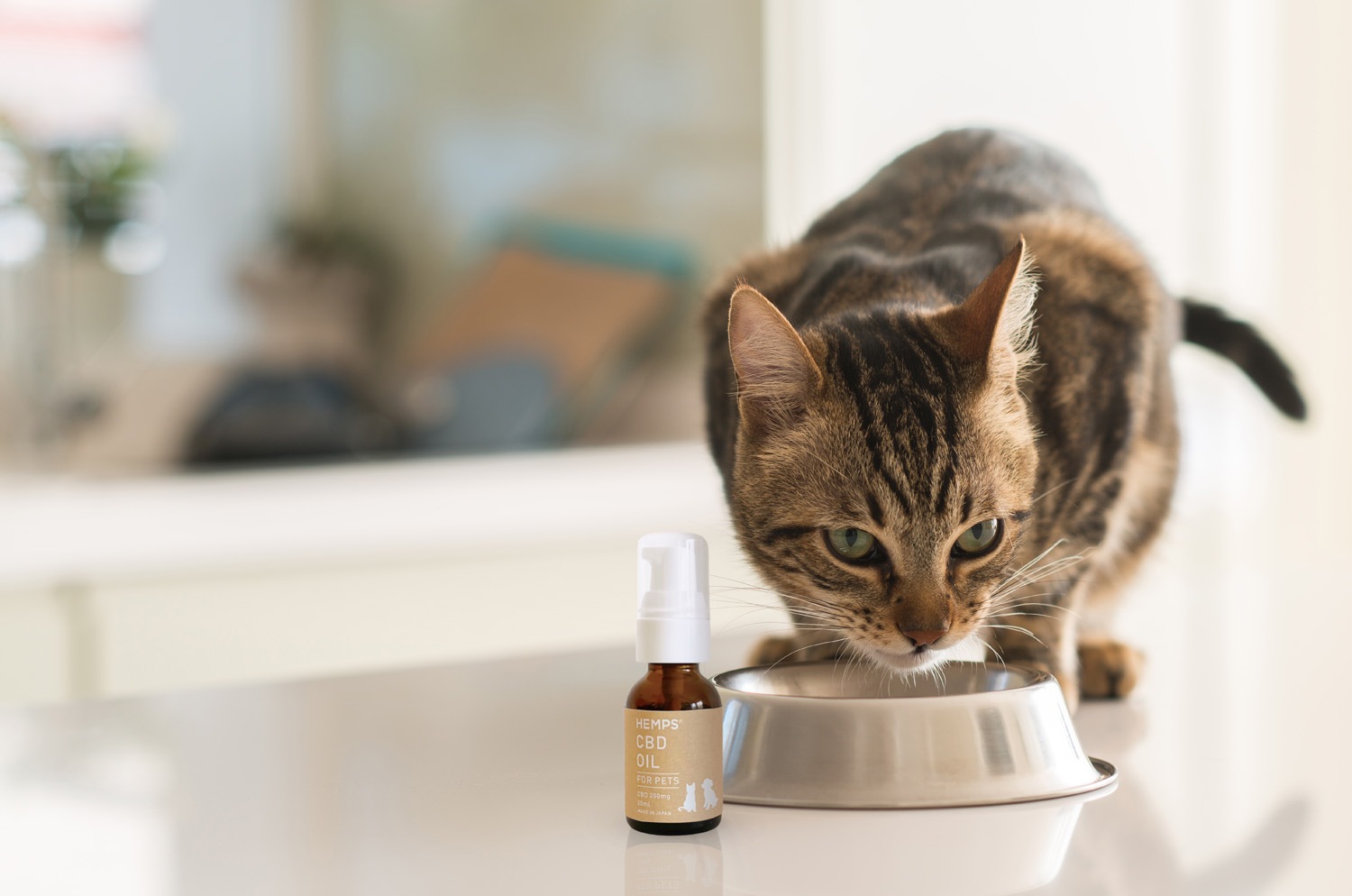 SALE 50%オフ】HEMPS CBD OIL FOR PETS [返品・交換不可 賞味期限2023