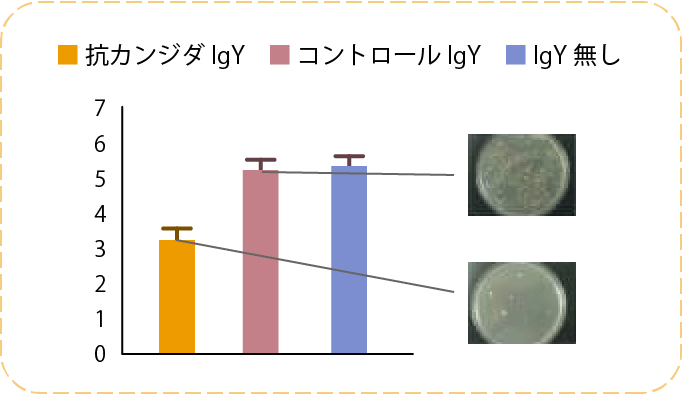 カンジダ菌24時間後の増殖のグラフ