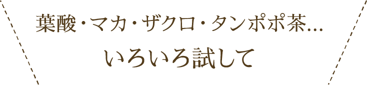 葉酸・マカ・ザクロ・タンポポ茶...いろいろ試して