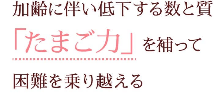 加齢に伴い低下する数と質「たまご力」を補って困難を乗り越える