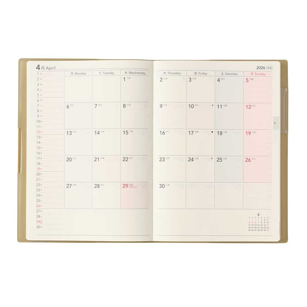 ������Plus B6 NOLTY��ǽΨ��Ģ���������塼��Ģ