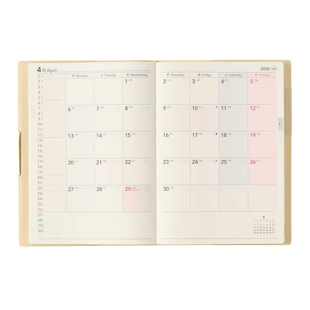 ������Plus B6 NOLTY��ǽΨ��Ģ���������塼��Ģ