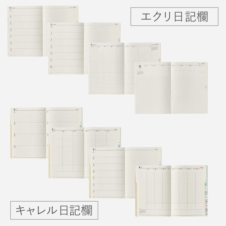 NOLTY �Υ�ƥ� �Υ�ƥ����쥯�� �Ȥ߹�碌��Ģ ���������Ģ ǽΨ��Ģ �������塼��Ģ