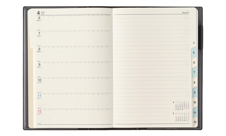 NOLTY �Υ�ƥ� �Υ�ƥ����쥯�� �Ȥ߹�碌��Ģ ���������Ģ ǽΨ��Ģ �������塼��Ģ