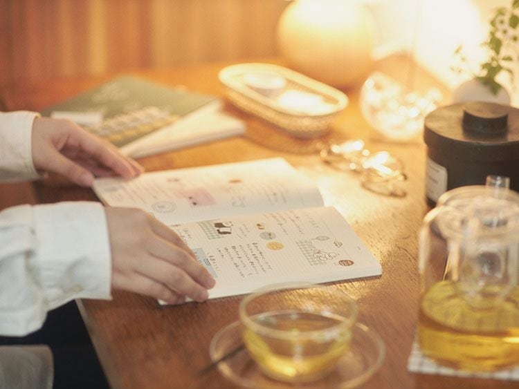 �˥��쥷�ԡ�nicorecipe NOLTY��ǽΨ��Ģ���������塼��Ģ