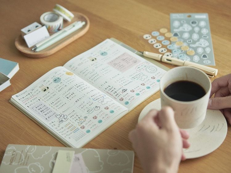 �˥��쥷�ԡ�nicorecipe NOLTY��ǽΨ��Ģ���������塼��Ģ