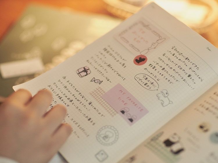 �˥��쥷�ԡ�nicorecipe NOLTY��ǽΨ��Ģ���������塼��Ģ