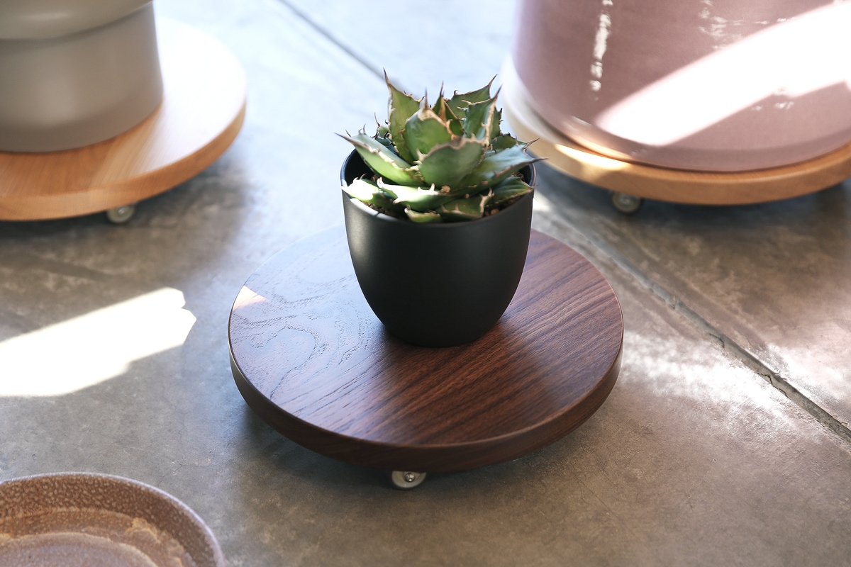 数量限定50%0FF】PLANTER BASE シングル Φ29cm ウォルナット Made in