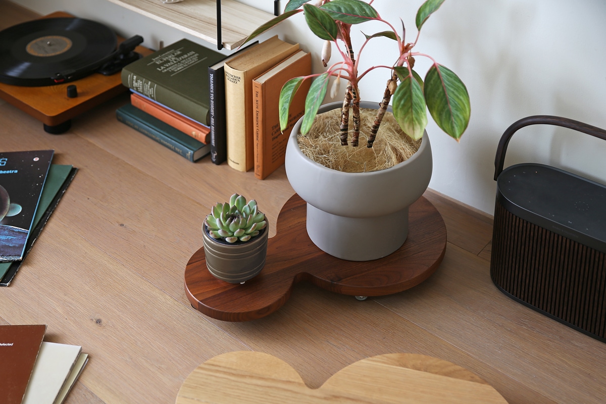 Planterbase double