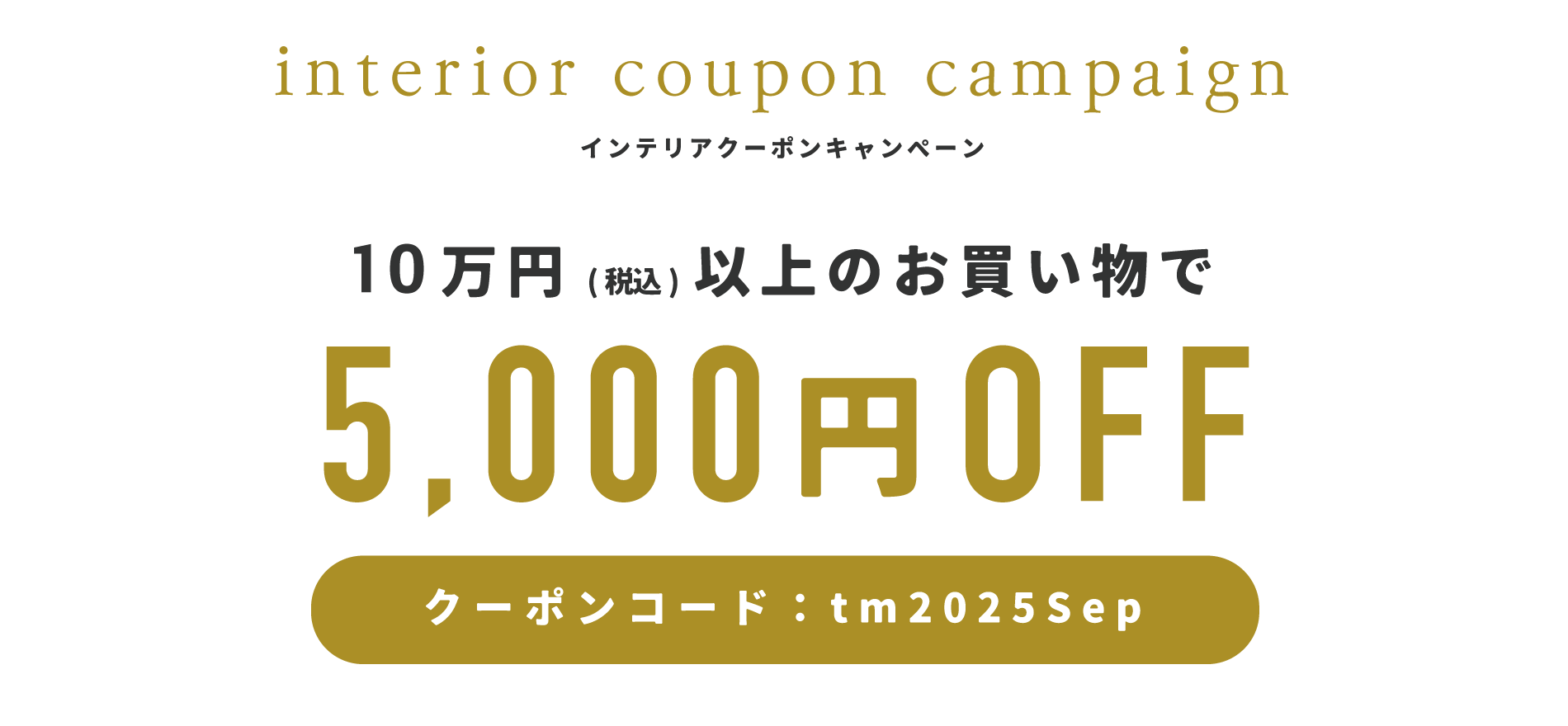 骨模型の7点セット　まとめ売り　(クーポン、キャンペーン利用でお得) 今がチャンス！すぐに使える5,000円OFFクーポンキャンペーン