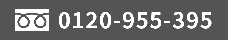 0120-955-395