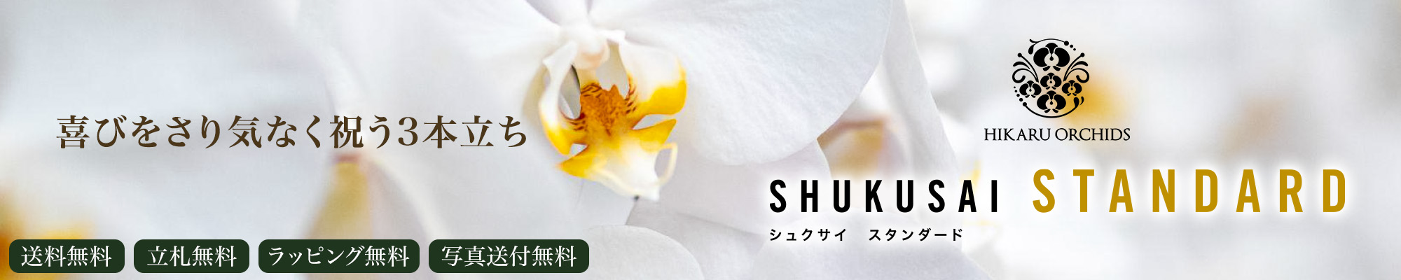 シュクサイSTANDARD