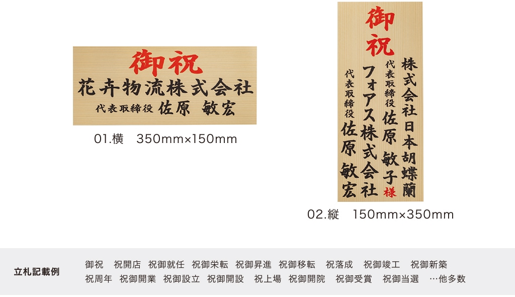 胡蝶蘭 5本立ち白70輪以上 [000313]の通販 | ヒカル・オーキッド