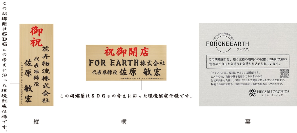 胡蝶蘭 20本立ち白300輪以上 [000324]の通販 | ヒカル・オーキッド