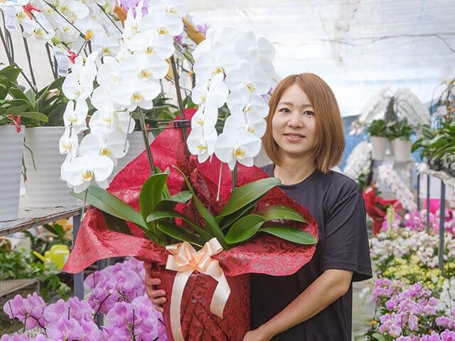 シュクサイSTANDARD