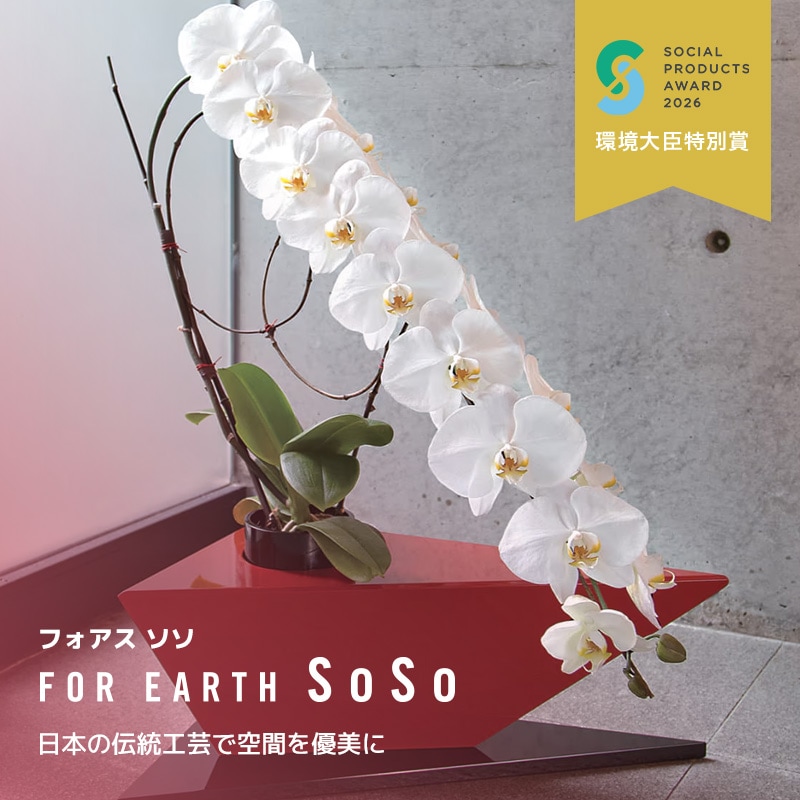 フォアスSOSO