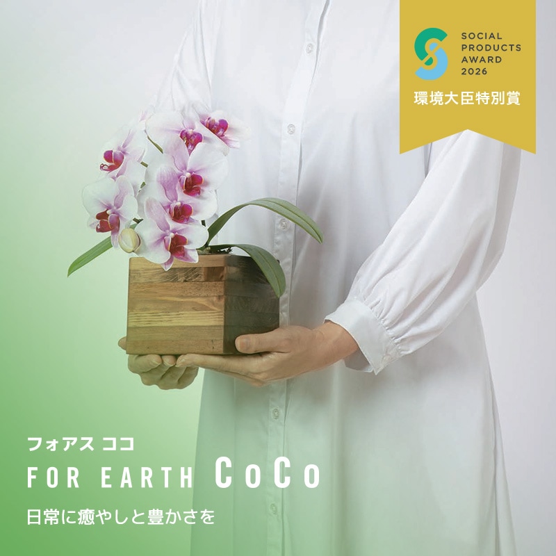 フォアスCOCO
