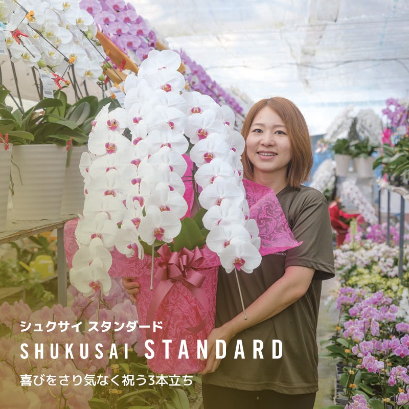 シュクサイSTANDARD