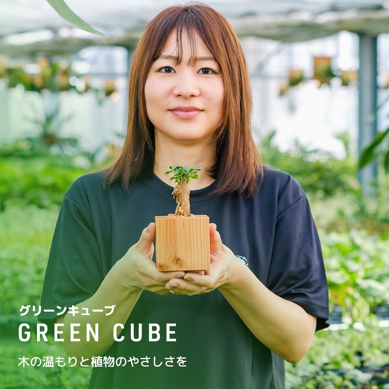 ヒカル・オーキッド｜農園直営 胡蝶蘭の通販｜立札・送料無料