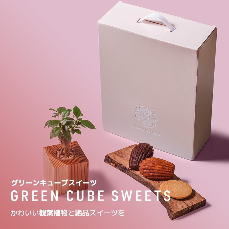 GREEN CUBE SWEETS
