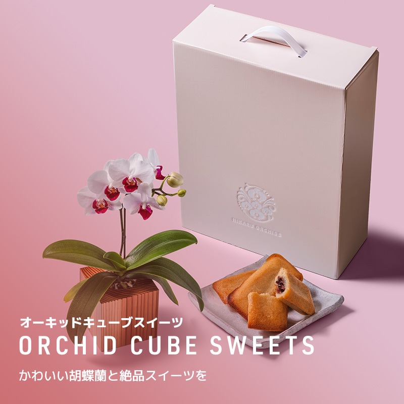 ORCHID CUBE SWEETS