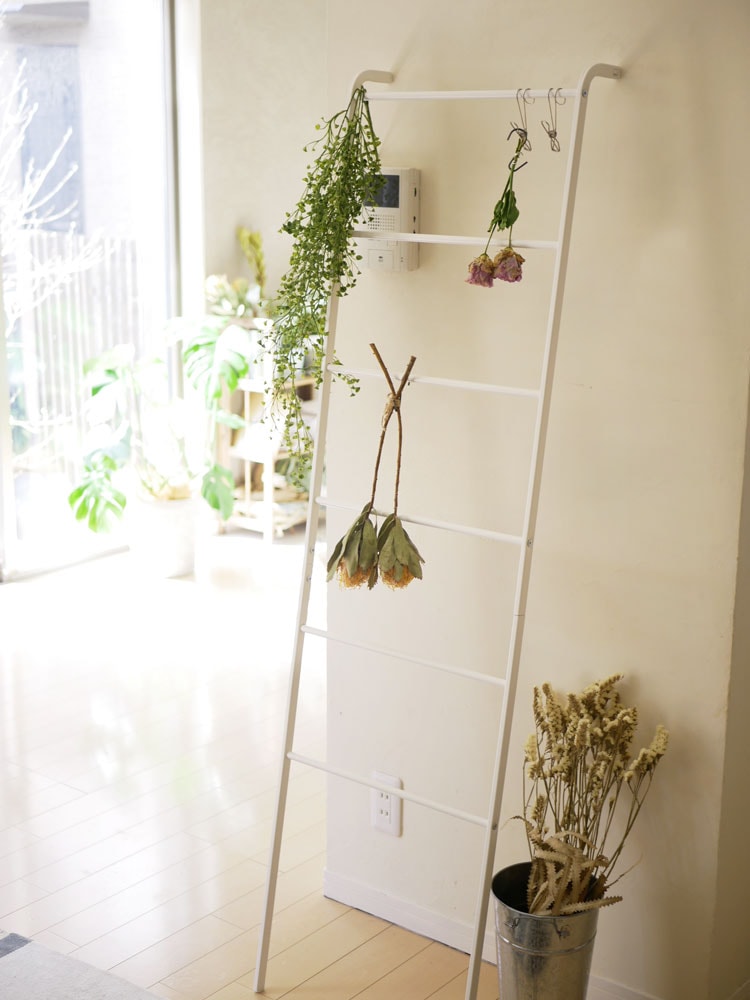 ラダーハンガーに花鉢と観葉植物が飾られている