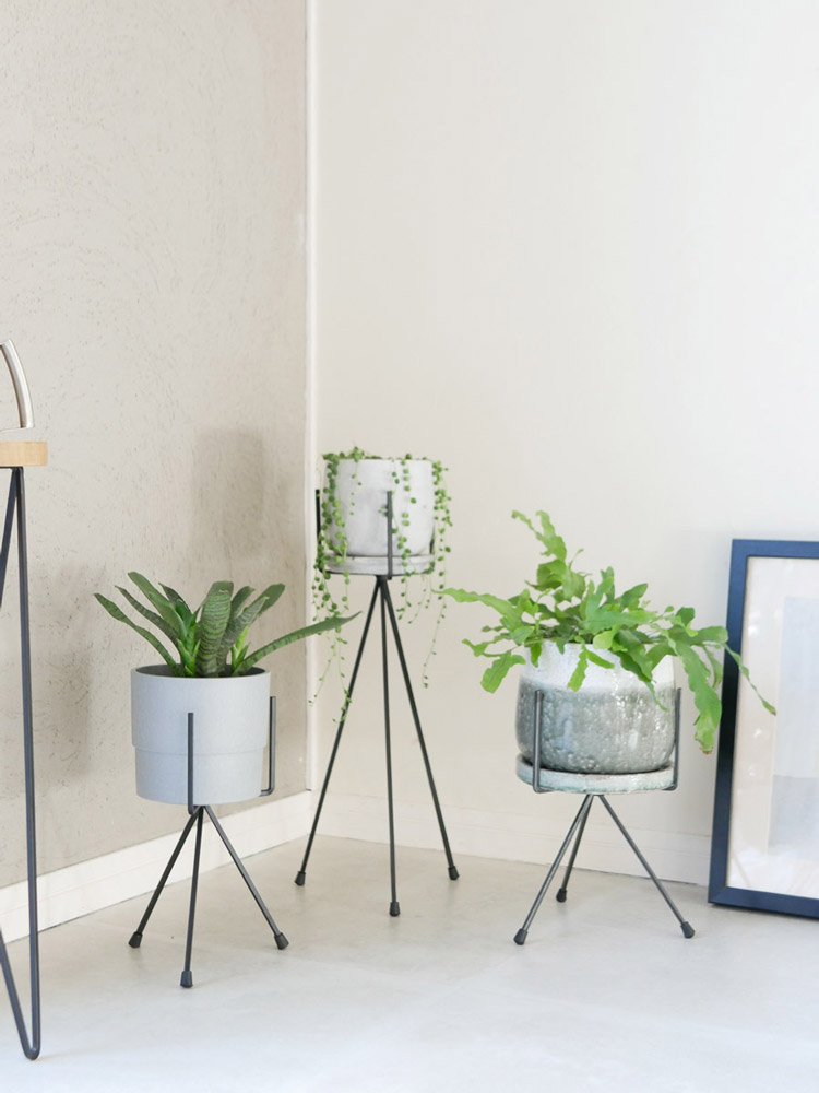 ポッシュリビングのアイアン製トライポッドスタンドに鉢植えの常緑樹