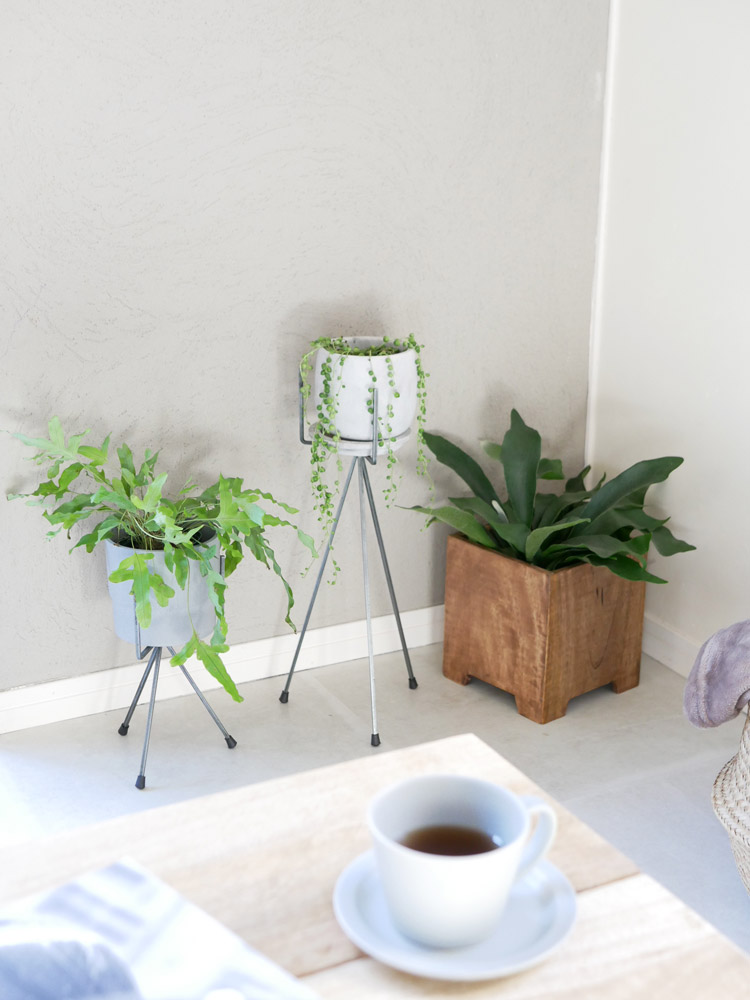 ポッシュリビングのトライポッドスタンドに鉢植え