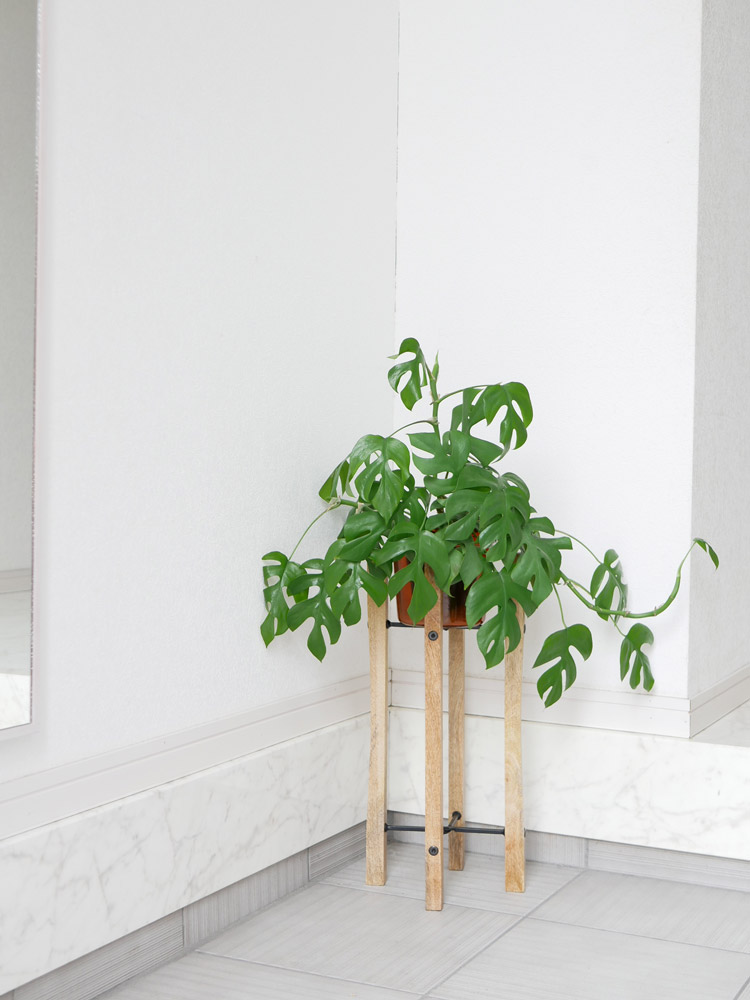 POSH LIVINGの折りたたみポットスタンドに鉢植え