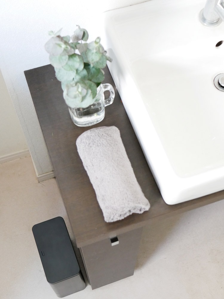 ideacoのミディアムフラップ密封衛生ゴミ箱と洗面台