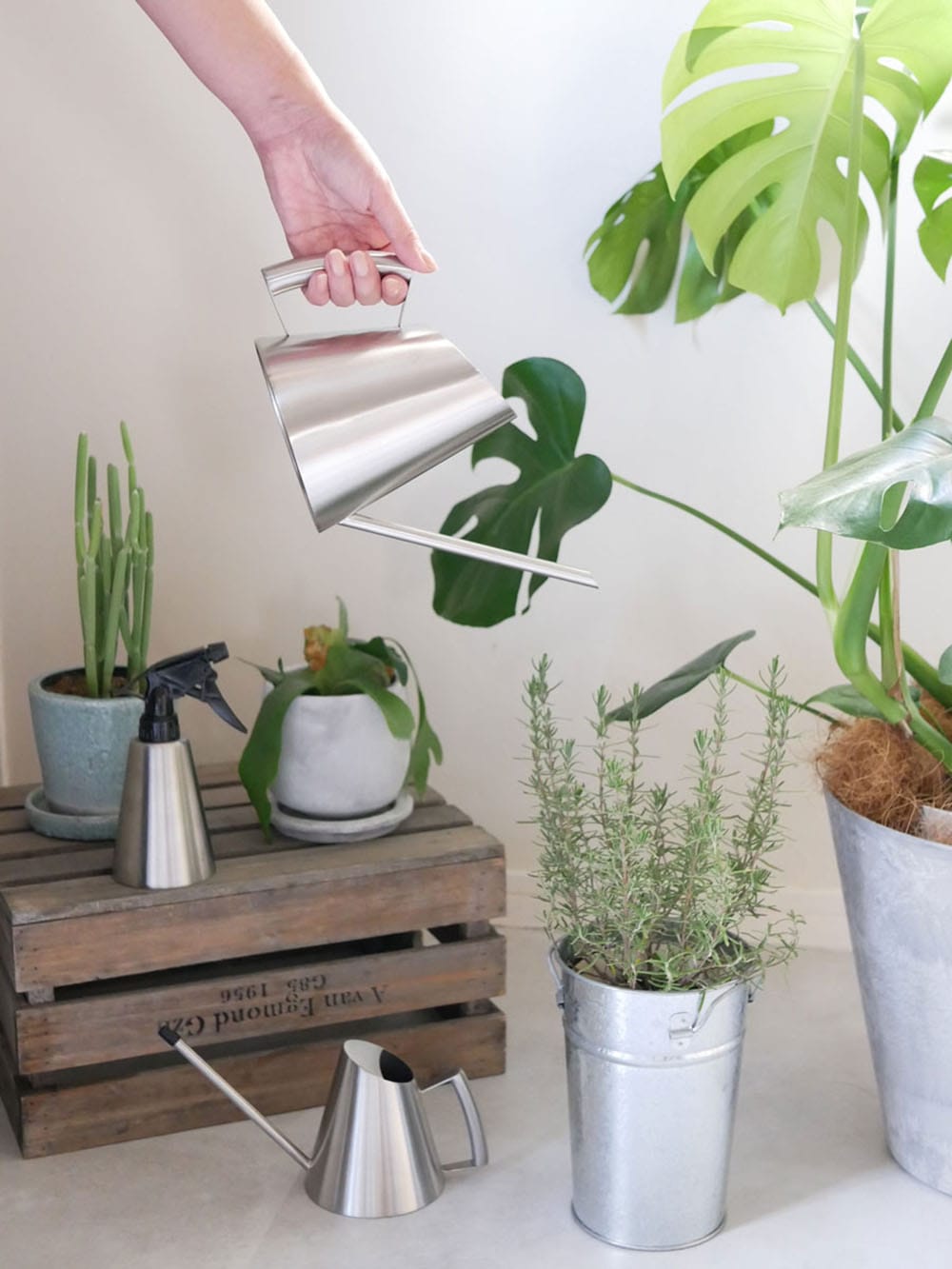 SALUS/セイラスのステンレス製ミッテ ジョーロ、ハーブが植えられたキッチン用花鉢