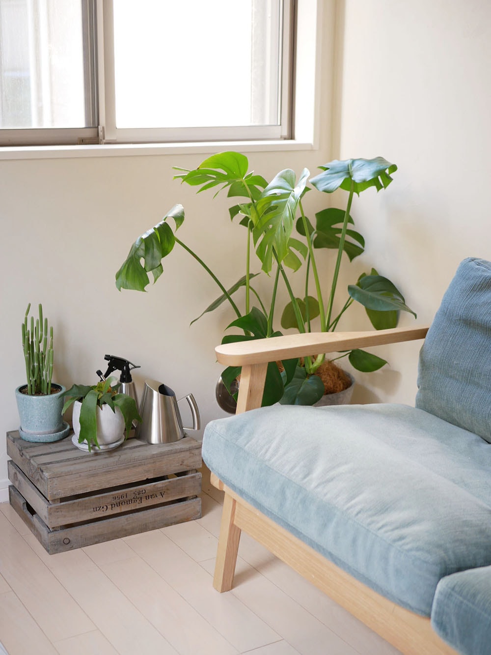 SALUSミッテジョーロ、ステンレス製花瓶と室内植物が配置されたリビングルーム