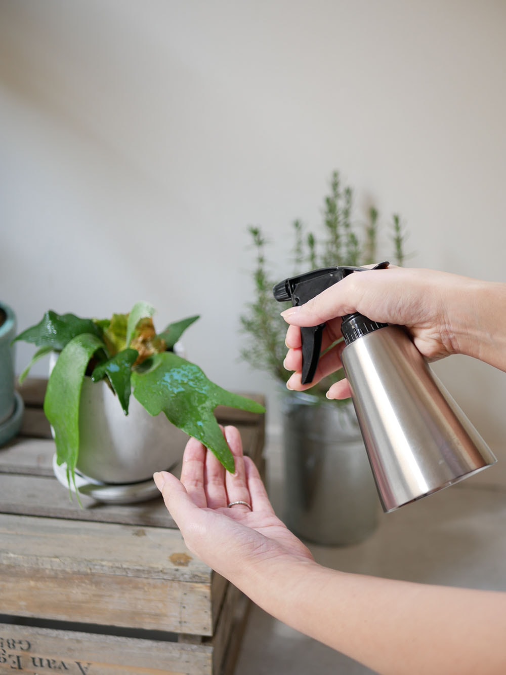 セイラスのミッテ ジョーロを手に持ち、鉢植えやガラス瓶とともに配置された家庭用キッチン用品の写真