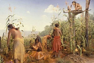 �֤��Ȥ�������� ���¥롼���� ���� �ֺ� �ϥ������� �ե�����󥸡��ɥ饤�ե� ����å� �꡼��