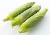 �֤��Ȥ�������� ���¥롼���� ���� �ֺ� �ϥ������� �ե�����󥸡��ɥ饤�ե� ����å� �꡼��