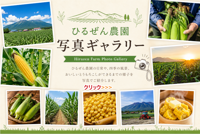 甘い トウモロコシ 直売 岡山 ひるぜん農園 最新情報 ライブカメラ 写真ギャラリー