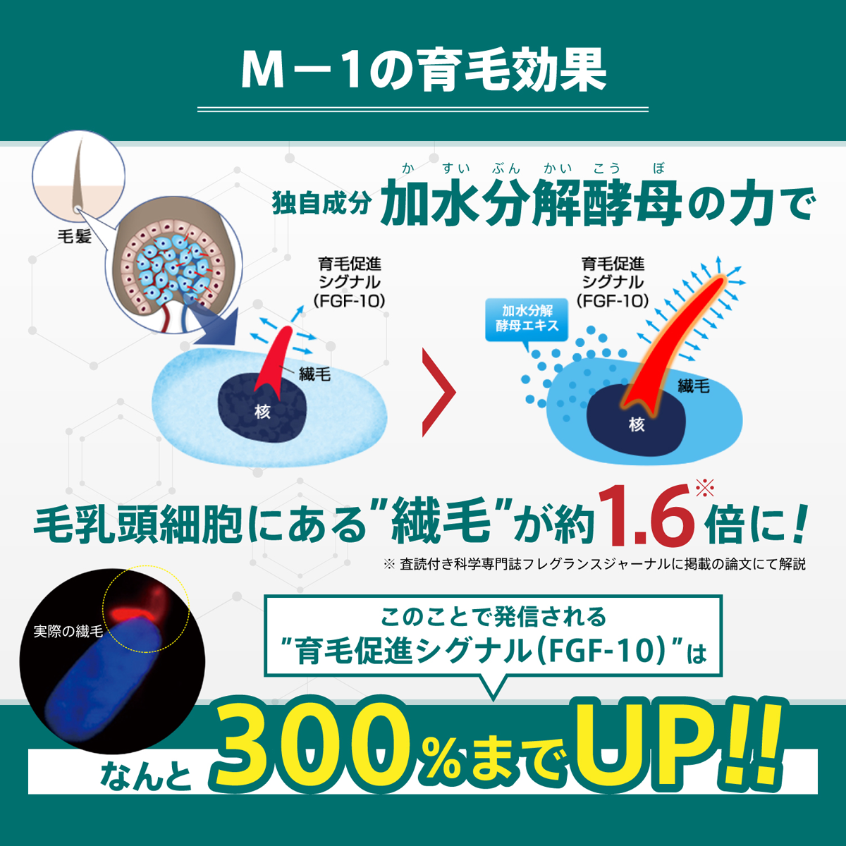 【１０個セット】薬用 M-1 育毛ローション 育毛剤 200ml×１０