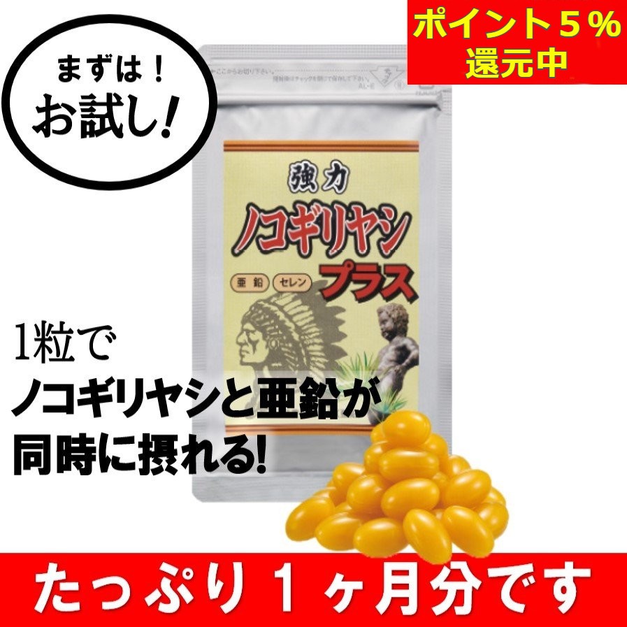 お試し】強力ノコギリヤシプラス 1袋【ポイント５％還元中】宝力本舗