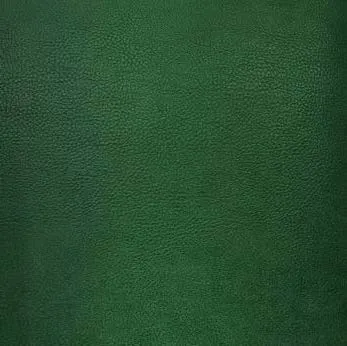 Pure Leather Green