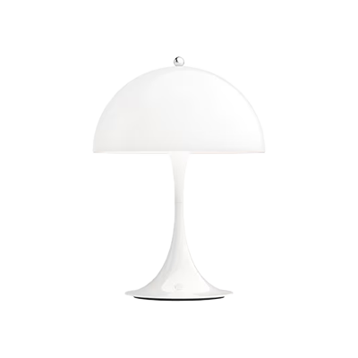 with the portable lamp